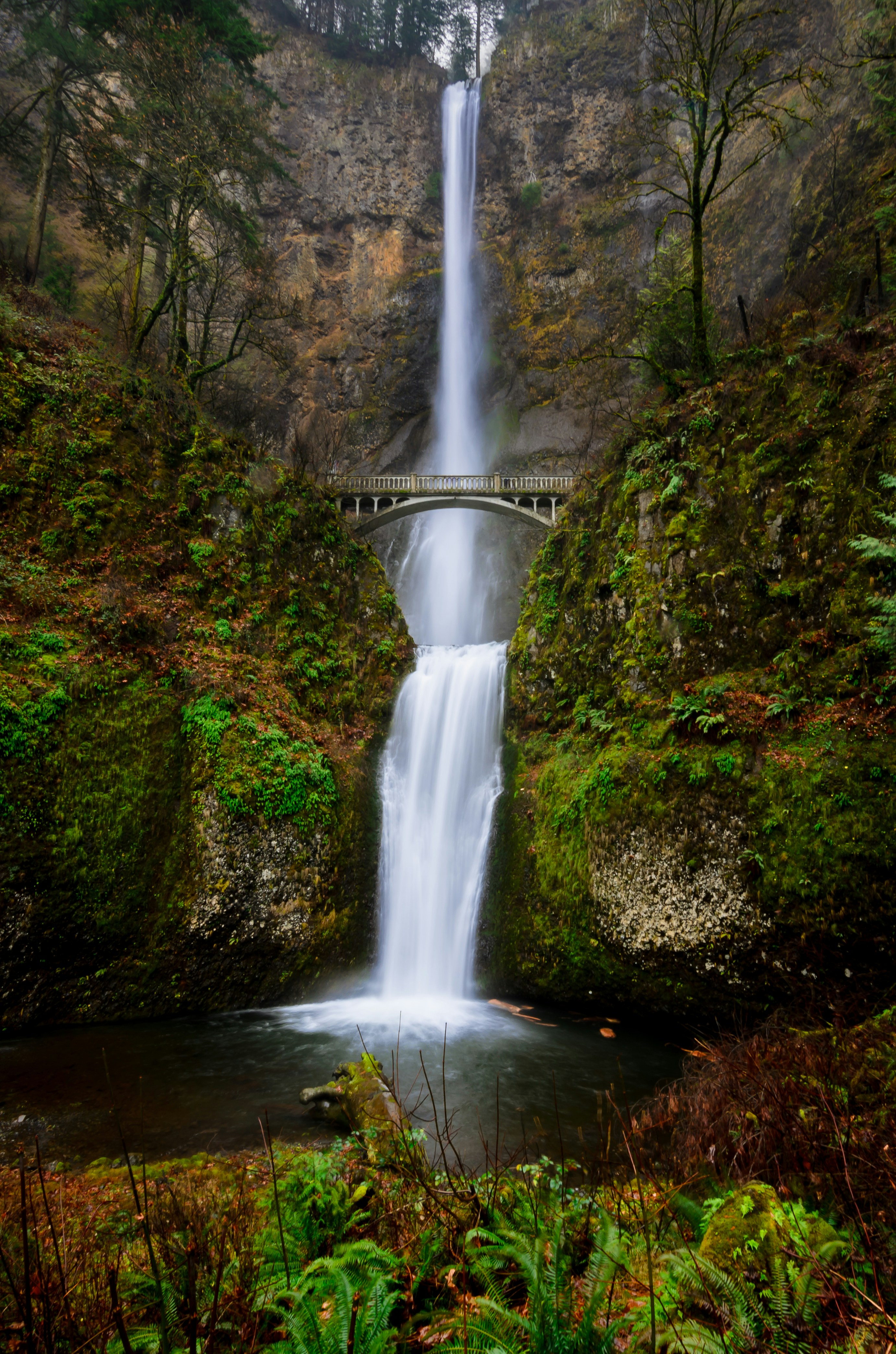 Multnomah Falls Oregon