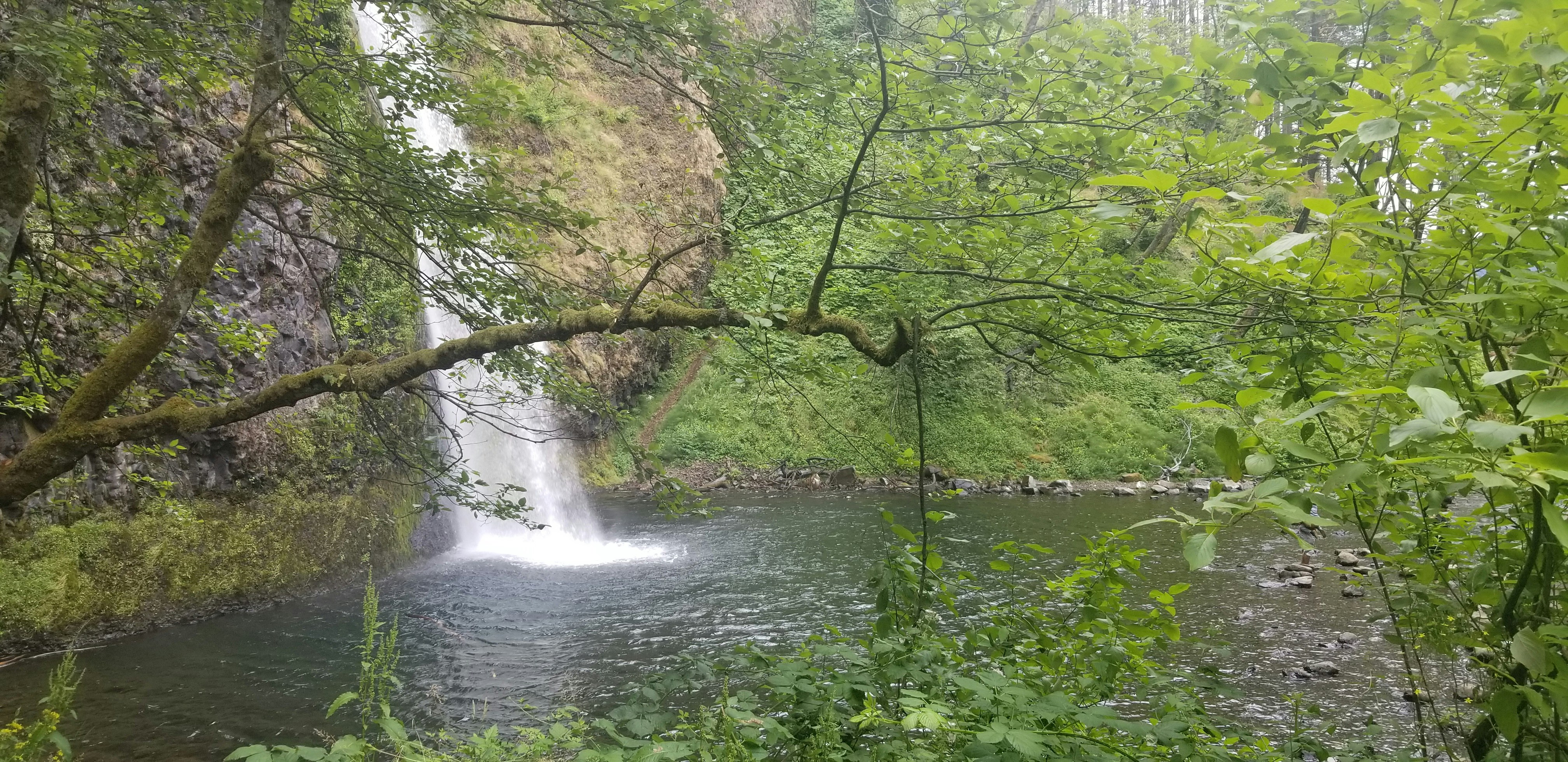 View from the top of Multnomah Falls