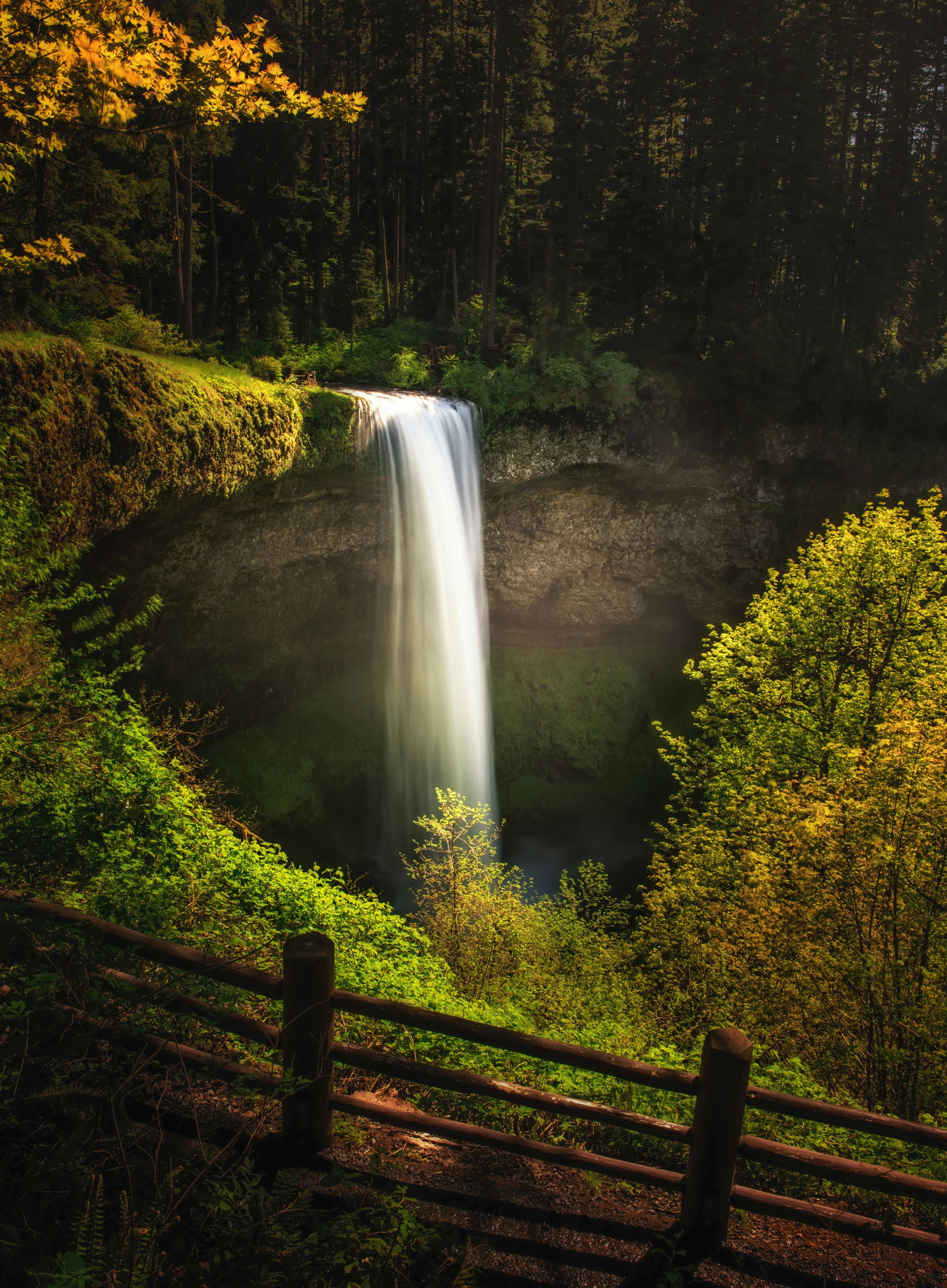 Silver Falls State Park waterfall