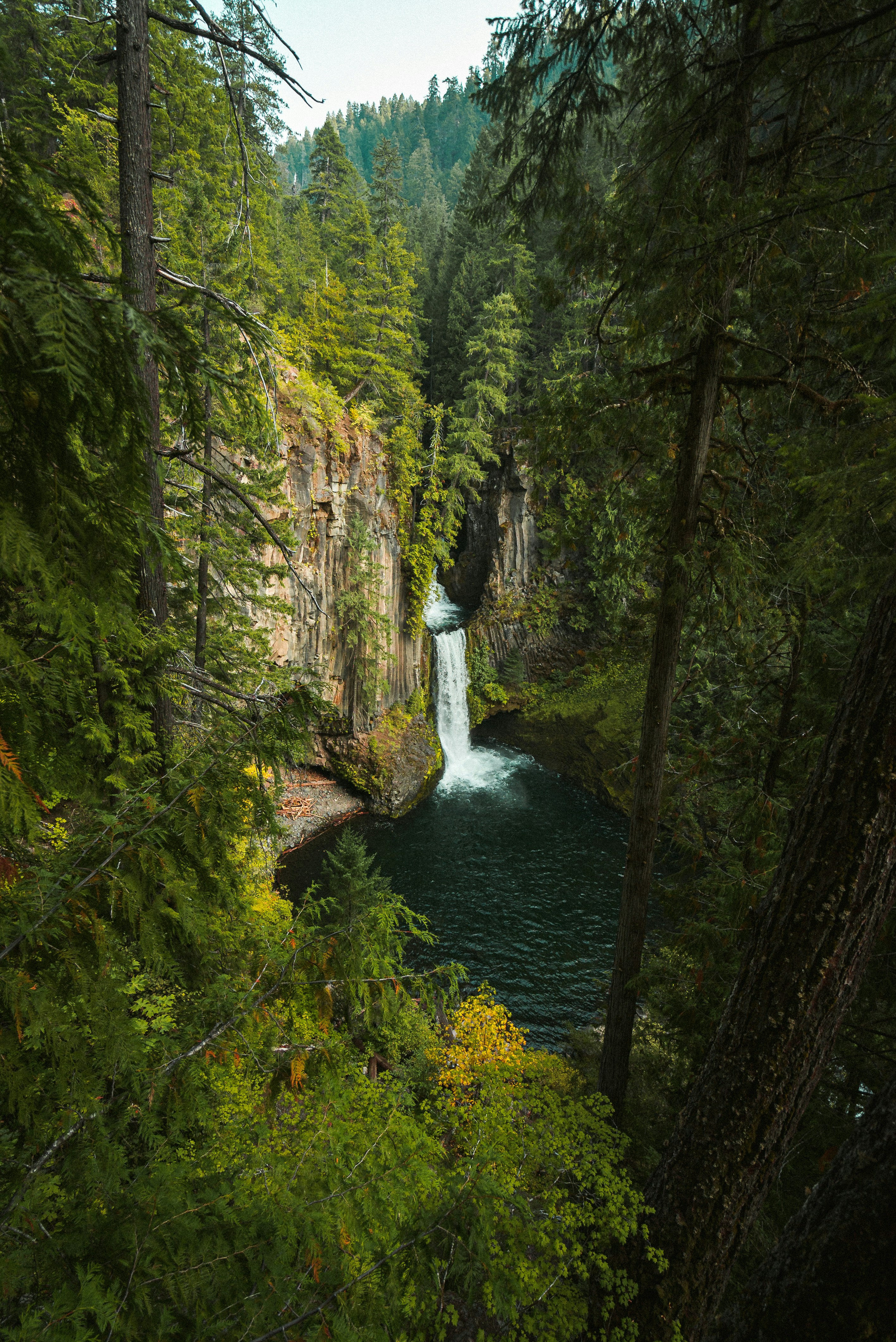 Columnar basalt columns framing Toketee Falls