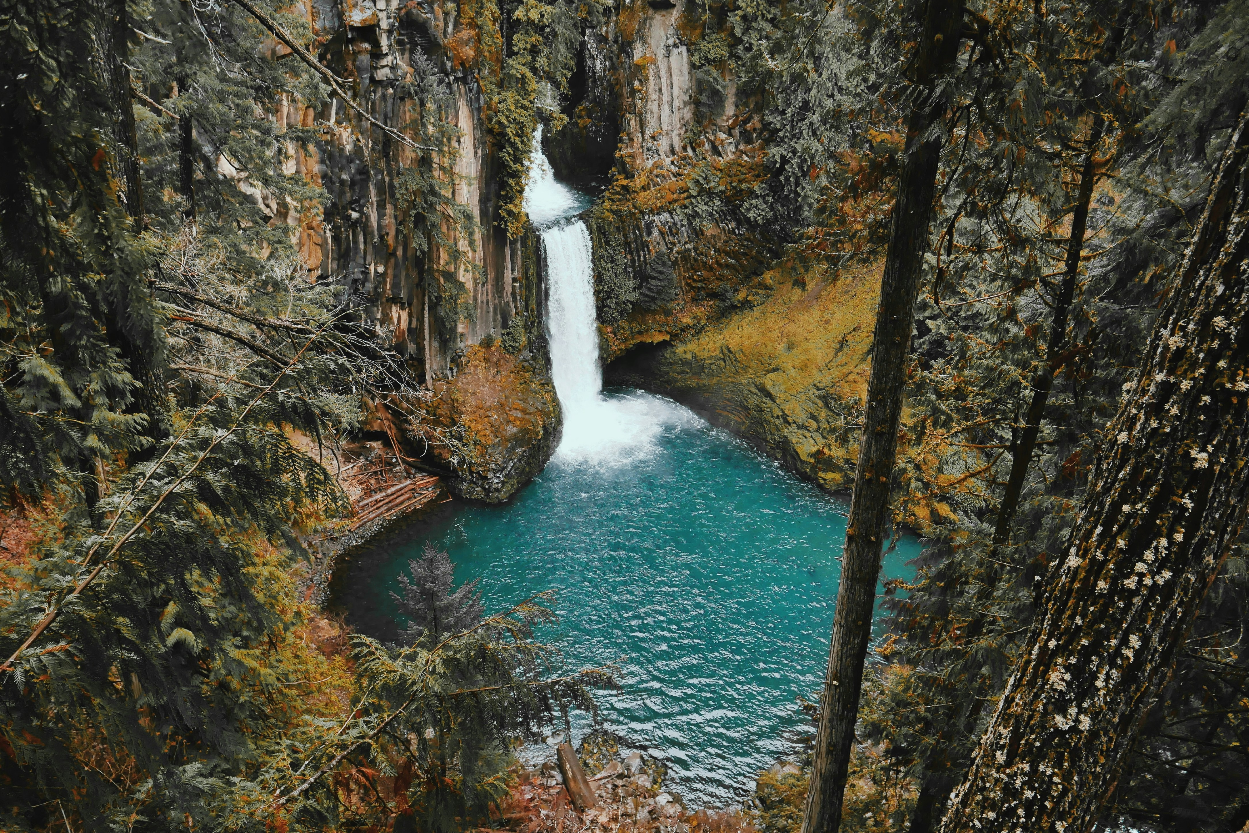 Toketee Falls framed by columnar basalt columns