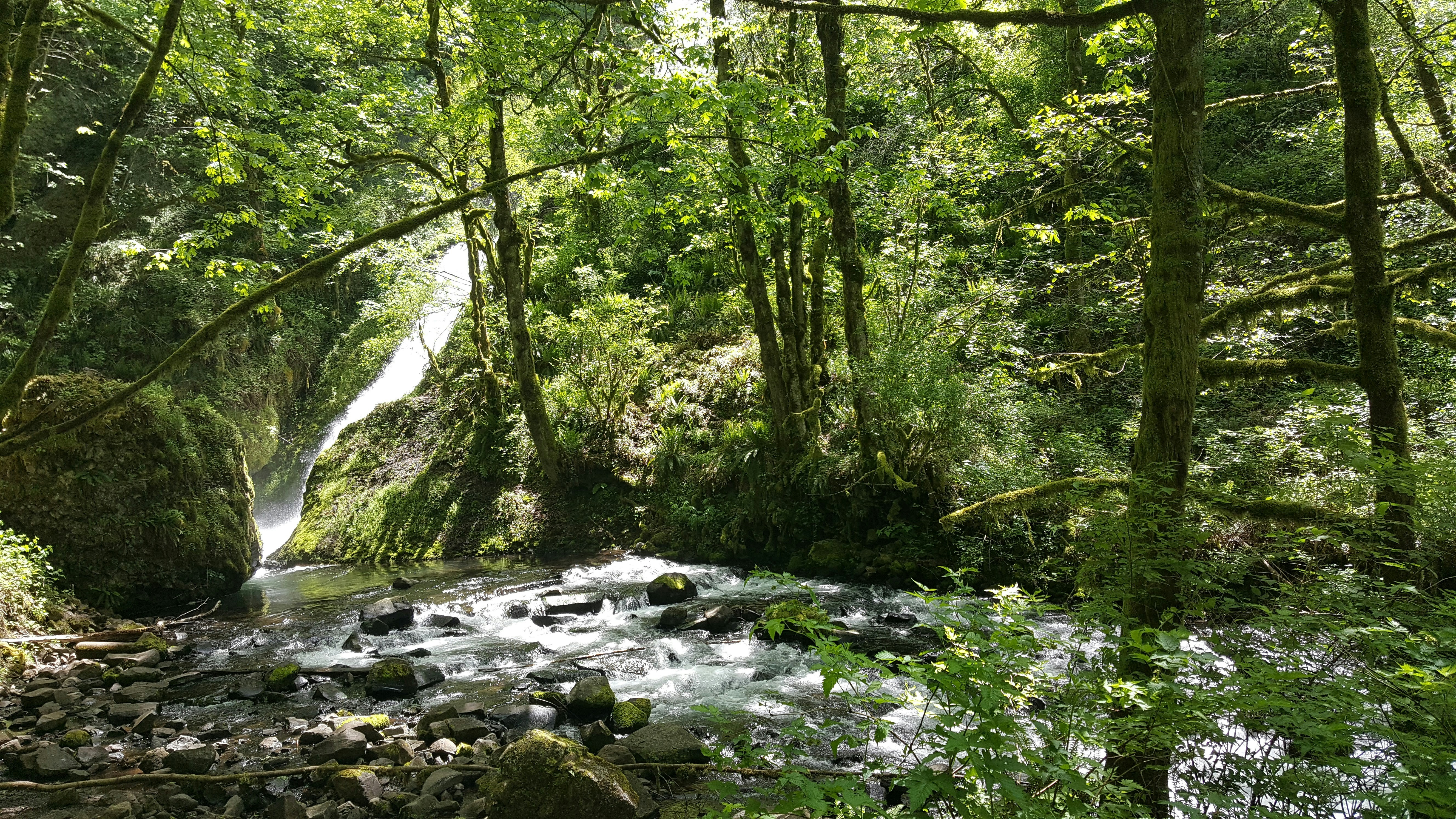 Wahkeena Falls